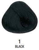 Vopsea permanenta fara amoniac - Alfaparf Milano Precious Nature Ammonia-Free Permanent Hair Color 60 ml - BLACK 1