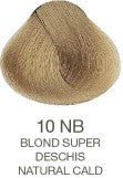 Vopsea permanenta - Alfaparf EOC Cube Vopsea permanenta 3D Tech 60ml - Blond super deschis natural cald 10 NB